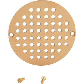 Allpoints 1021081 Drain Grate Floor (6"")