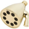 Speakman Anystream® Icon 8-Jet Shower Head Polished Brass Finish 2.5 GPM