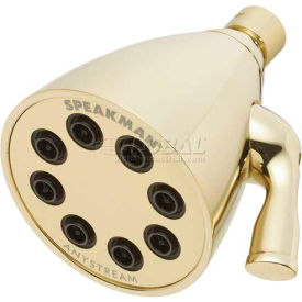 Speakman Anystream® Icon 8-Jet Shower Head Polished Brass Finish 2.5 GPM