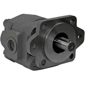 Buyers H21 Series Hydraulic Pump H2136153 2/4 Bolt 3000 Max Pressure 1"" Keyed 1/4 KW Shaft