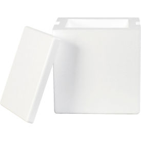 Global Industrial™ Insulated Foam Containers 8""L x 6""W x 9""H White 8/Pack
