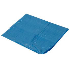 6' x 8' Light Duty 2.9 oz. Tarp Blue - B6x8