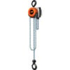 CM Hurricane 360° Hand Chain Hoist 1 Ton 10 Ft. Lift