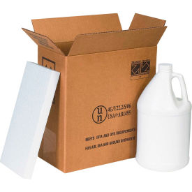 Global Industrial™ Two 1 Gal. Plastic Jug Haz Mat Shipper Kit 12""L x 6""W x 12-3/4""H
