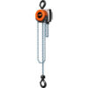 CM Hurricane 360° Hand Chain Hoist 1 Ton 20 Ft. Lift