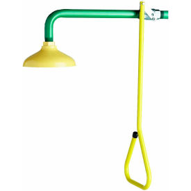 Speakman SE-227 Lifesaver® Emergency Shower