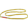 Global Industrial™Poly Web Sling HD Endless w/ Durable Edge 6Ft L-3200/2500/6400 Lbs Cap