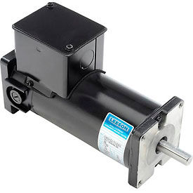 Leeson Motors DC Motor-1/6HP 90V 1750RPM TENV Sq. flange