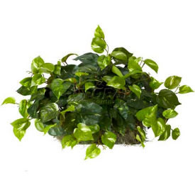 Nearly Natural Pothos Ledge Plant (Set on Foam) Silk Plant