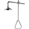 Speakman SE-227-SS Lifesaver® Emergency Shower