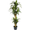 Nearly Natural 5' Yucca Silk Plant