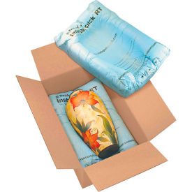 Instapak Quick® Room Temperature Expandable Foam Bags 22""W x 27""L 24/Pack