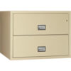 Phoenix Safe Lateral 44"" 2-Drawer Fire and Water Resistant File Cabinet Putty - LAT2W44P