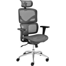 Interion® Mesh Ergonomic Chair With High Back & Adjustable Arms Mesh Gray