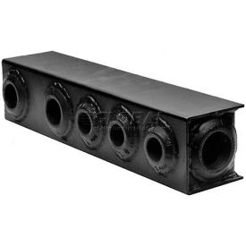 Buyers Return Line Manifold Manifold RM10 (3) 3/4"" NPT (2) 1"" NPT (1) 1-1/4"" NPT 14-1/2""L