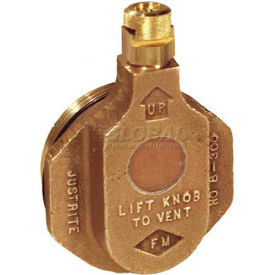 Justrite® 8300 Brass Horizontal Safety Drum Vent for Petroleum Based Applications