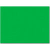 Pacon® Tru-Ray Sulphite Construction Paper 18""x24"" Festive Green 50 Sheets