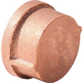 1/2 In. Lead Free Brass Cap - FNPT - 125 PSI - Import