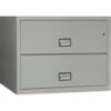 Phoenix Safe Lateral 38"" 2-Drawer Fire and Water Resistant File Cabinet Light Gray - LAT2W38LG