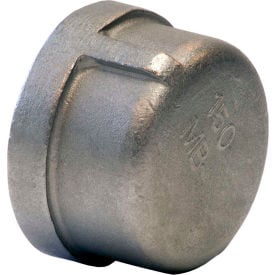 1-1/2 In. 304 Stainless Steel Cap - FNPT - Class 150 - 300 PSI - Import