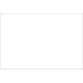 Rectangular Block Out Paper Labels 6""L x 4""W White Roll of 500