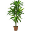 Nearly Natural 48'' Dracaena Silk Plant