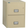Phoenix Safe Vertical 31"" 2-Drawer Letter Fire and Water Resistant File Cabinet Putty - LTR2W31P