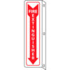 Fire Flange Sign - Fire Extinguisher