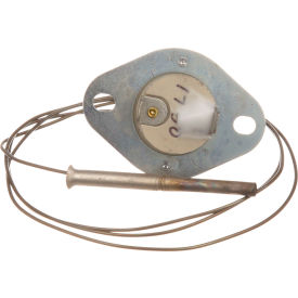 Allpoints 8009316 Flame Switch