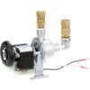 Allpoints 8009434 Water Pump - 120Vac For Wilbur Curtis Co
