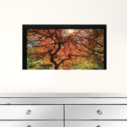 First Colors Of Fall Black Framed Print Wall Art