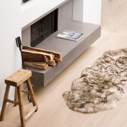 Gradient Chocolate Animal Print Area Rug