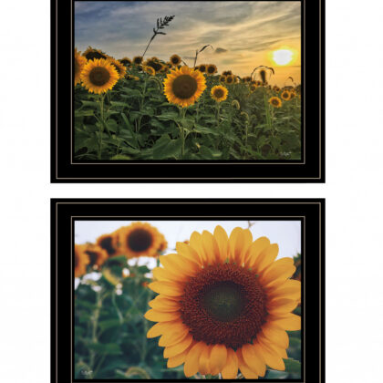 Set Of Two Midwest Living Collection 2-Piece 3 Black Framed Print Wall Art