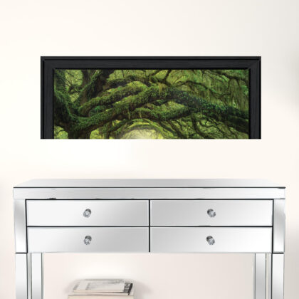 Passage 1 Black Framed Print Wall Art
