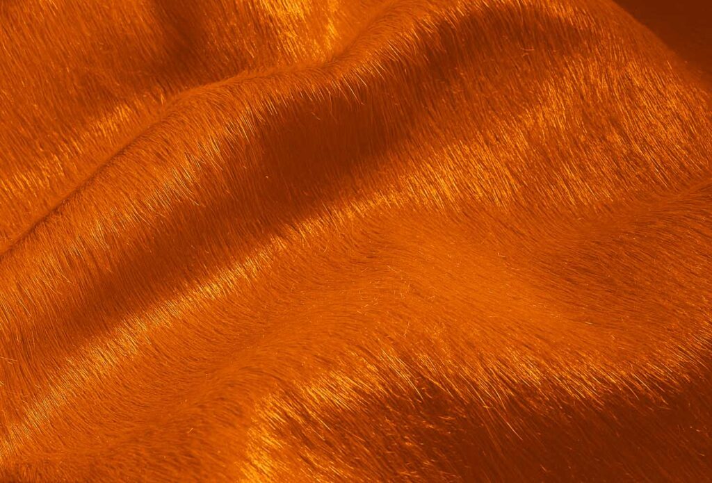 60" X 84" Orange Cowhide - Area Rug