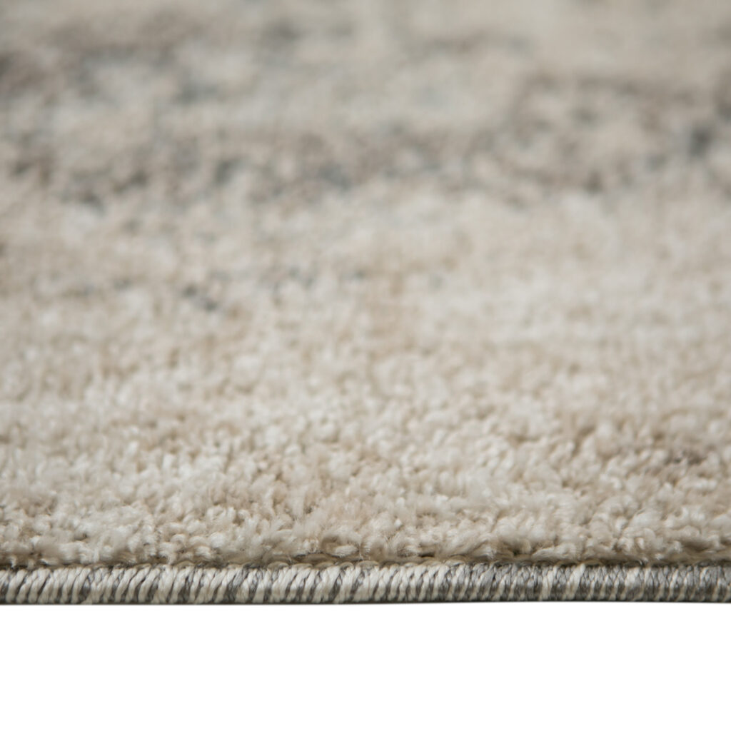 2' x 3' Gray and Beige Abstract Power Loom Area Rug