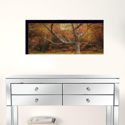 Set Of Three Tranquil Spaces 2 Black Framed Print Wall Art