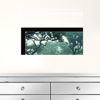 Enchanted Forest II 1 Black Framed Print Wall Art