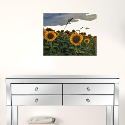Set Of Two Midwest Living 1 White Framed Print Wall Art