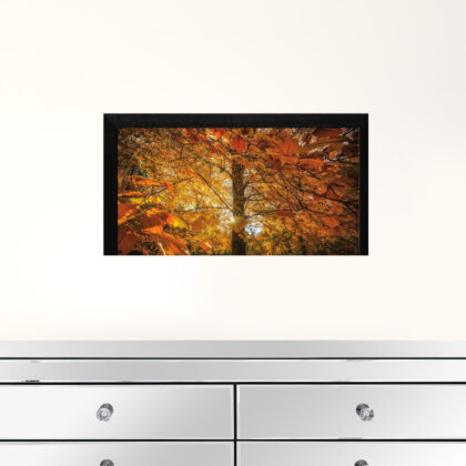 Autumn Leaves 4 Black Framed Print Wall Art