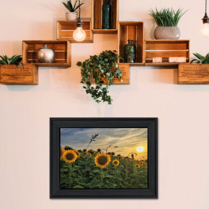Midwest Livin I 2 Black Framed Print Wall Art