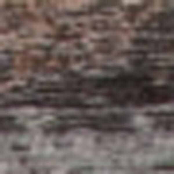5' x 7' Gray and Beige Medallion Non Skid Area Rug