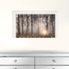 Enchanted Morning 1 White Framed Print Wall Art