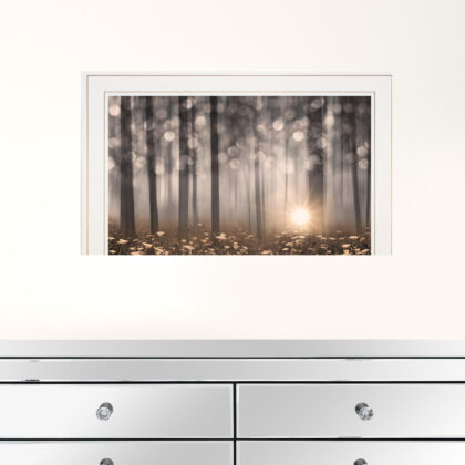 Enchanted Morning 1 White Framed Print Wall Art