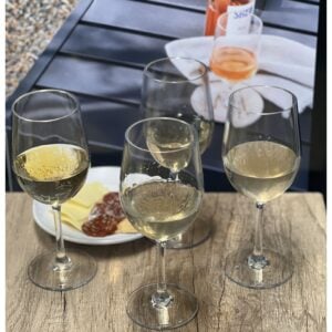 Set of Four Clear Tritan Plastic Stemmed All Purpose Wine Glass