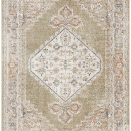 4' X 6' Sage Oriental Power Loom Distressed Washable Area Rug