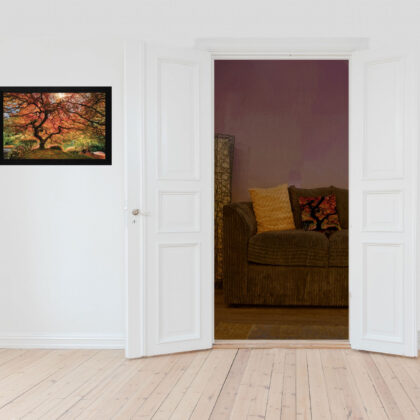 First Colors Of Fall Black Framed Print Wall Art
