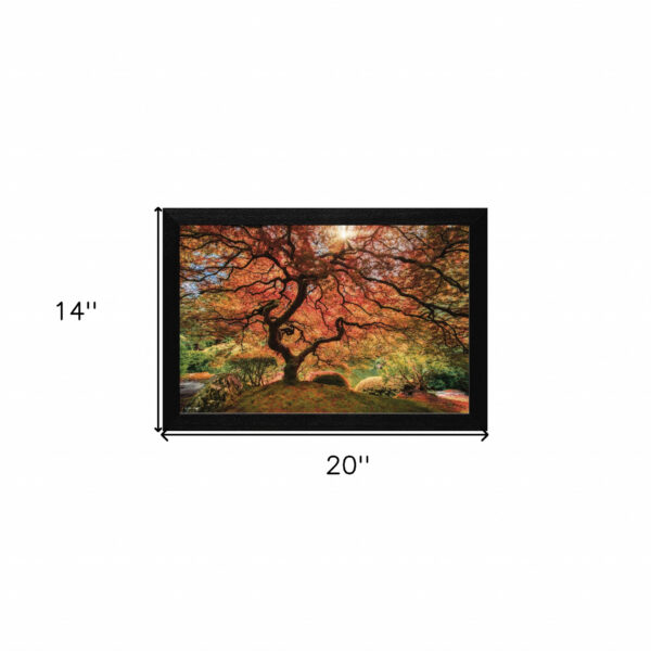First Colors Of Fall Black Framed Print Wall Art