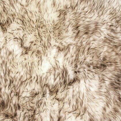 Gradient Chocolate Animal Print Area Rug