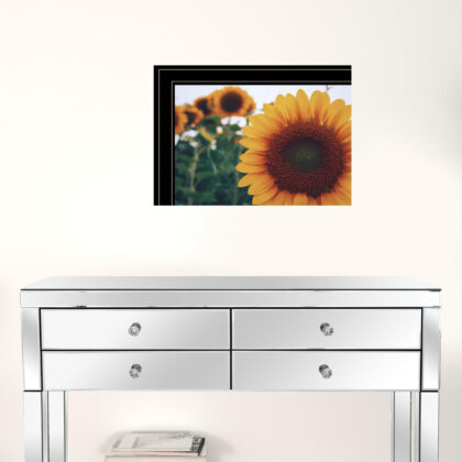 Set Of Two Midwest Living Collection 2-Piece 3 Black Framed Print Wall Art